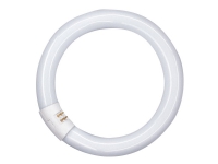 OSRAM LUMILUX T9 C - Fluorescerende lyspære - form: T9 - matteret finish - G10q - 22 W - klasse G - INTERNA-lys - 2700 K