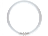 Philips MASTER LED TL5 Circular 60W/840 1CT, 60 W, Cirkulær, 12000 t, 5000 lm, Kold hvid
