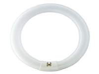 Philips TL-E 40W/840 1CT/12, 40 W, G10Q, C-T9, 3200 lm, Kold hvid