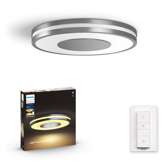 Being ceiling lamp aluminum 1x40W 230V (aluminium)