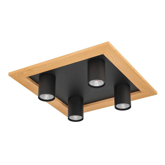 Valcasotto 1 plafond