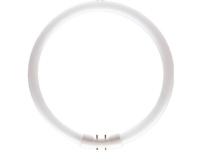Philips Master T5 Cirkulært lysstofrør, 23,5 W, 2GX13, Cirkulær, 12000 t, 1800 lm, Kold hvid