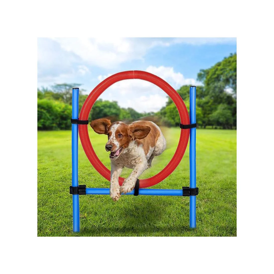 Agility forhindring med ring