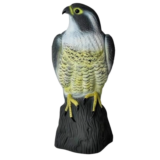 Scarecrow - Falcon