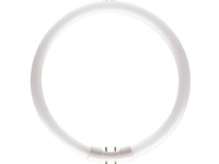 Philips MASTER TL5 Circular, 39,9 W, 2GX13, C-T5, 3300 lm, Kold hvid