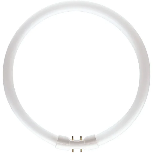 Lysrør TL5C 55W 840, 4200 lumen, sirkulært rør, 2GX13 - 10 stk