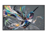 Philips 32BDL3511Q - 32 Diagonal klasse (31.5 til at se) - Q-Line LED-bagbelyst LCD paneldisplay - digital skiltning - 1080p 1920 x 1080