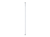 OSRAM LUMILUX HO - Fluorescerende lyspære - form: T5 - G5 - 24 W - klasse G - køligt dagslys - 6500 K