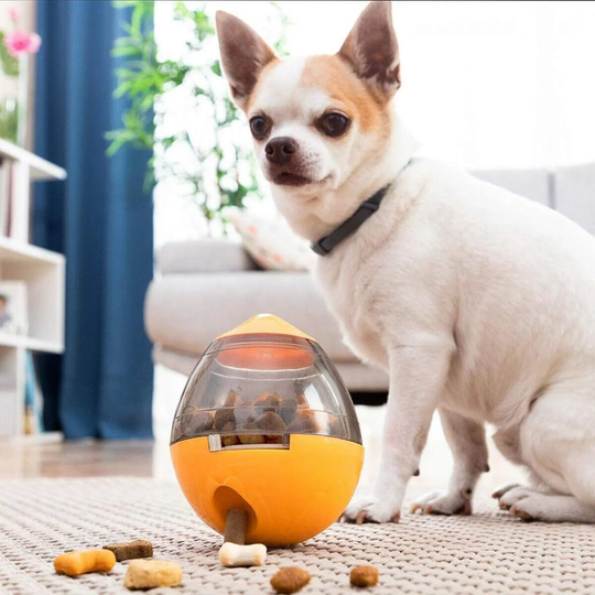 Maddispenser / Aktivitetslegetøj til hunde