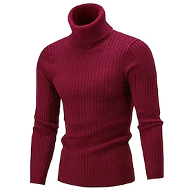 Herre Genser Turtleneck genser Strikke Strikket Flettet Helfarge Rullekrage Gammeldags stil Myk Hjem Daglig Klær Vinter Høst Svart Vin S M L