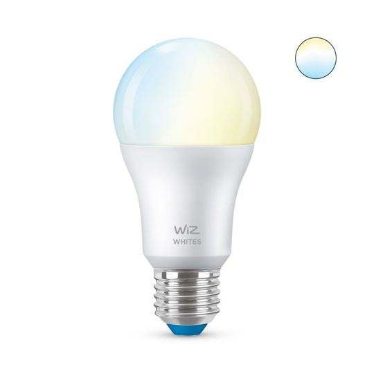 E27 60W Wiz