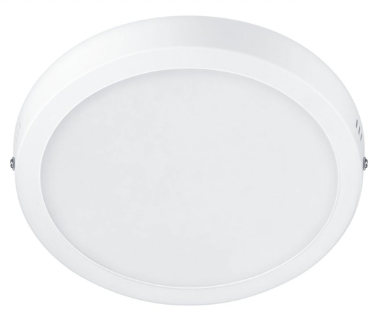 12W Panel Magneos R 21cm White cold white