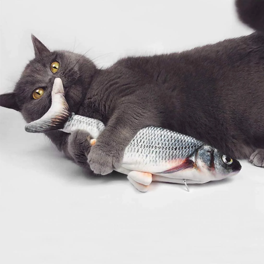 Kattelegetøj, Genopladeligt - Fisk