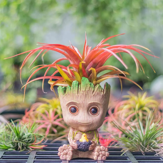 Baby Groot, urtepotte - Fuglerede