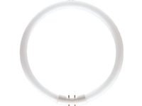 Philips MASTER TL5 Circular, 39,9 W, 2GX13, C-T5, 3300 lm, Varm hvid
