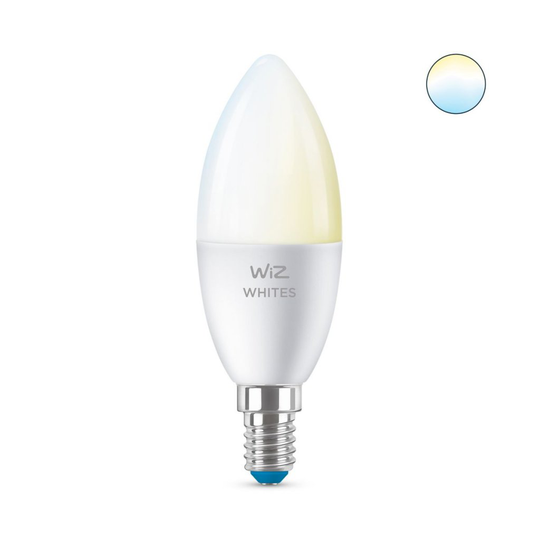 E27 40W Wiz