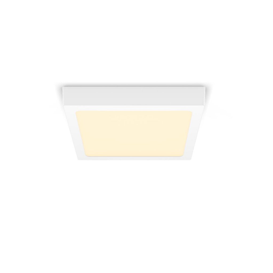 12W Panel Magneos 21cm White warm white