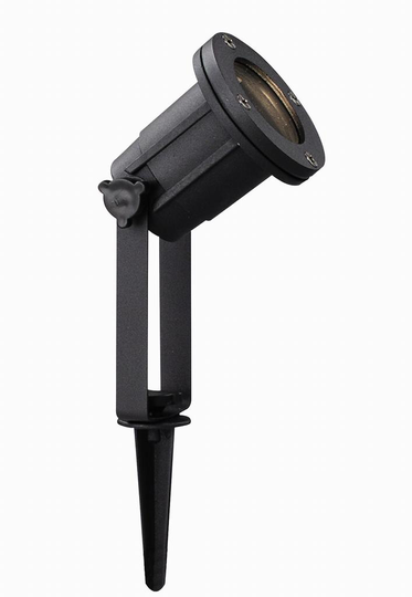 Spotlight (sort)