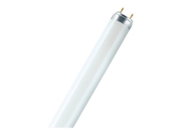 OSRAM LUMILUX T8 - Fluorescerende lyspære - form: T8 - G13 - 36 W - klasse G - varmt hvidt lys - 3000 K