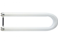 Philips TL-D U, 36 W, 2G13, U-form, 7500 t, 3350 lm, Kold hvid