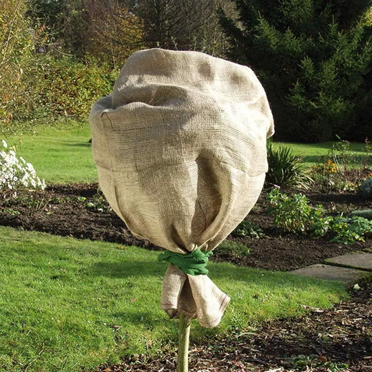 Vinterbeskyttelse til planter, jute - 110 x 60 cm