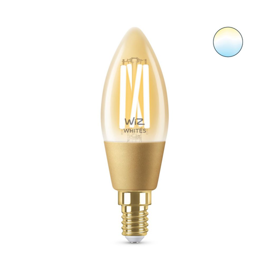 E27 25W Wiz