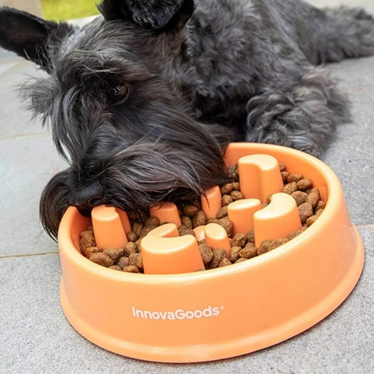 Madskål til Hunde - Slow Feeder