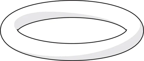 O-RING