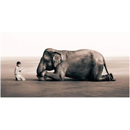 Lærredsplakater, Bedende Elefant - 100 x 60 cm