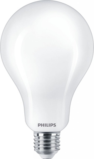 E27 23W LED Normal warm white Frosted