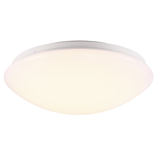 Ask 28 Ceiling