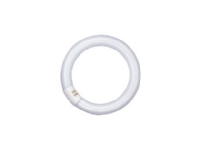 OSRAM LUMILUX T9 C - Fluorescerende lyspære - form: T9 - G10q - 32 W - klasse G - køligt hvidt lys - 4000 K