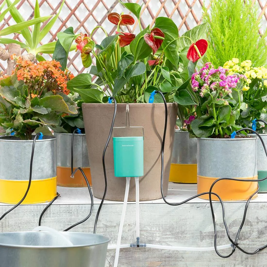 Automatisk Drypvandingssystem til 8 Potteplanter